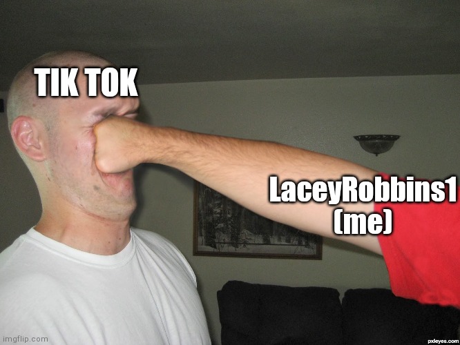 Face punch | TIK TOK; LaceyRobbins1 (me) | image tagged in face punch | made w/ Imgflip meme maker