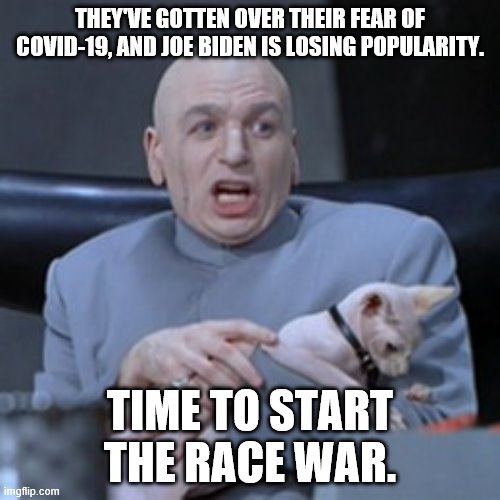 Dr Evil | THEY'VE GOTTEN OVER THEIR FEAR OF COVID-19, AND JOE BIDEN IS LOSING POPULARITY. TIME TO START THE RACE WAR. | image tagged in doctor evil with cat,joe biden,covid-19,protesters | made w/ Imgflip meme maker