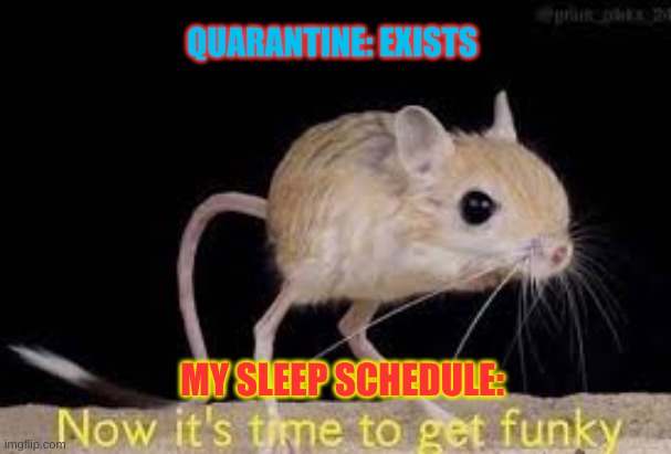 Have something for your Quarantine | QUARANTINE: EXISTS; MY SLEEP SCHEDULE: | image tagged in relatable | made w/ Imgflip meme maker