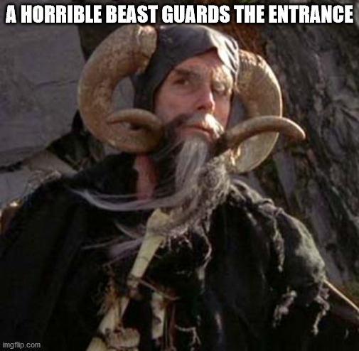 Tim the Enchanter - Monty Python | A HORRIBLE BEAST GUARDS THE ENTRANCE | image tagged in tim the enchanter - monty python | made w/ Imgflip meme maker