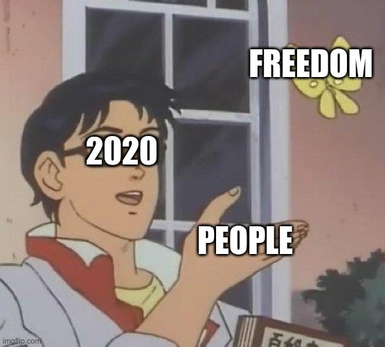 true do | FREEDOM; 2020; PEOPLE | image tagged in memes,is this a pigeon | made w/ Imgflip meme maker