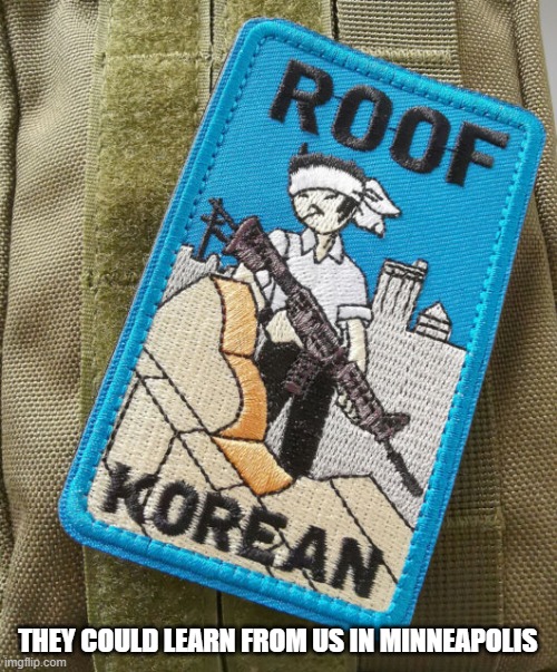 Roof Korean | THEY COULD LEARN FROM US IN MINNEAPOLIS | image tagged in roof korean | made w/ Imgflip meme maker