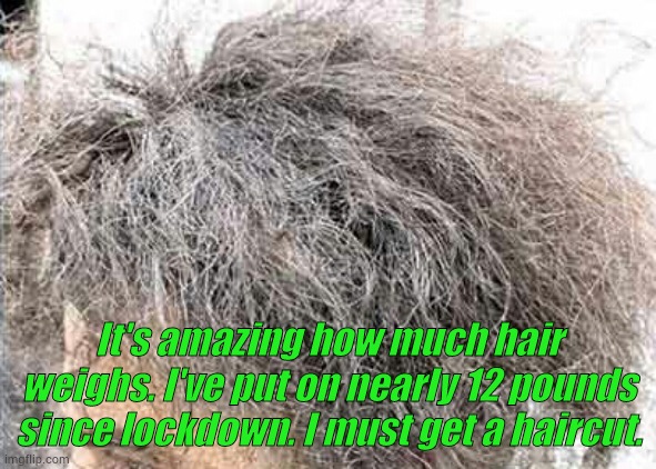 Lockdown hair | It's amazing how much hair weighs. I've put on nearly 12 pounds since lockdown. I must get a haircut. | image tagged in lockdown,haircut | made w/ Imgflip meme maker