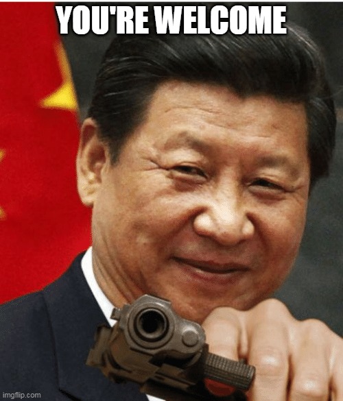 Xi Jinping | YOU'RE WELCOME | image tagged in xi jinping | made w/ Imgflip meme maker