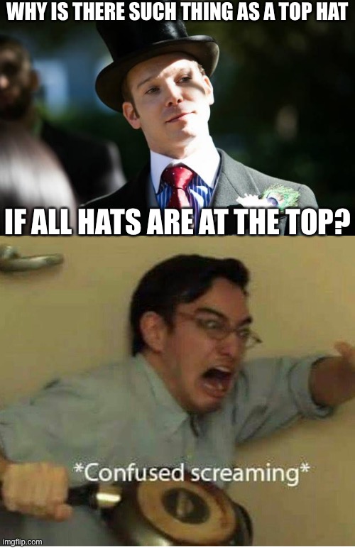 WHY IS THERE SUCH THING AS A TOP HAT; IF ALL HATS ARE AT THE TOP? | image tagged in top hat guy,confused screaming | made w/ Imgflip meme maker