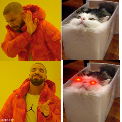 Take a good long look... | image tagged in memes,cat | made w/ Imgflip meme maker