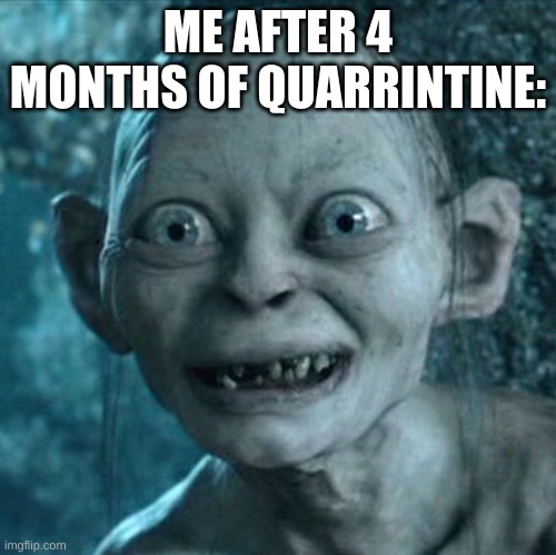 Gollum | ME AFTER 4 MONTHS OF QUARRINTINE: | image tagged in memes,gollum | made w/ Imgflip meme maker