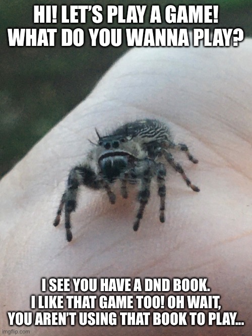 Misunderstood spider | HI! LET’S PLAY A GAME! WHAT DO YOU WANNA PLAY? I SEE YOU HAVE A DND BOOK. I LIKE THAT GAME TOO! OH WAIT, YOU AREN’T USING THAT BOOK TO PLAY... | image tagged in misunderstood spider,spider,misunderstood | made w/ Imgflip meme maker