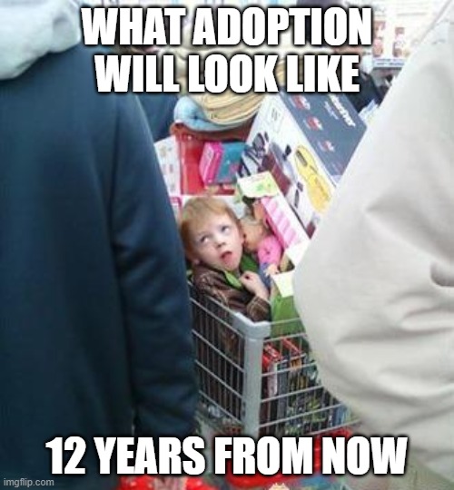 Shooping | WHAT ADOPTION WILL LOOK LIKE; 12 YEARS FROM NOW | image tagged in funny | made w/ Imgflip meme maker