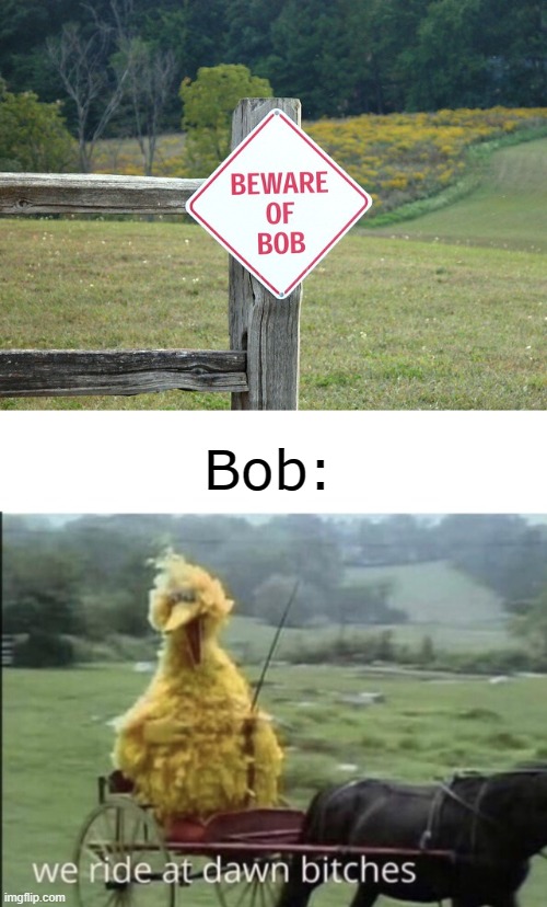 Bob: | image tagged in we ride at dawn bitches | made w/ Imgflip meme maker