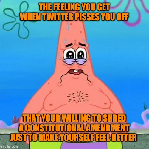 THE FEELING YOU GET WHEN TWITTER PISSES YOU OFF THAT YOUR WILLING TO SHRED A CONSTITUTIONAL AMENDMENT JUST TO MAKE YOURSELF FEEL BETTER | made w/ Imgflip meme maker