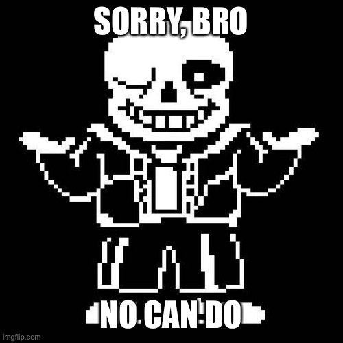 sans undertale | SORRY, BRO NO CAN DO | image tagged in sans undertale | made w/ Imgflip meme maker
