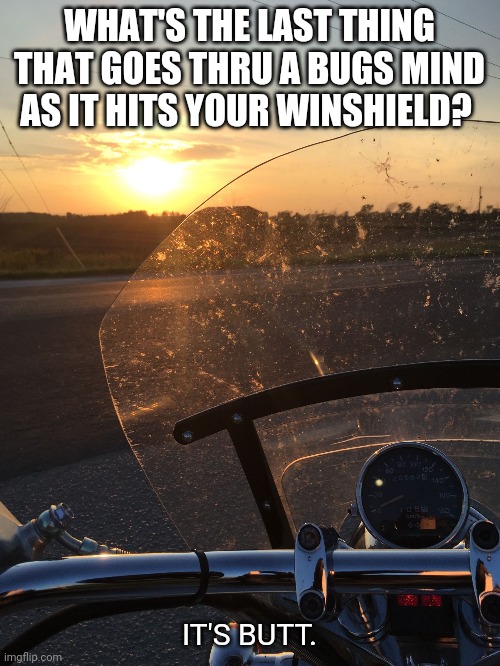 Daily Bad Dad Joke May 30 2020 | WHAT'S THE LAST THING THAT GOES THRU A BUGS MIND AS IT HITS YOUR WINSHIELD? IT'S BUTT. | image tagged in bugs on the windshield | made w/ Imgflip meme maker