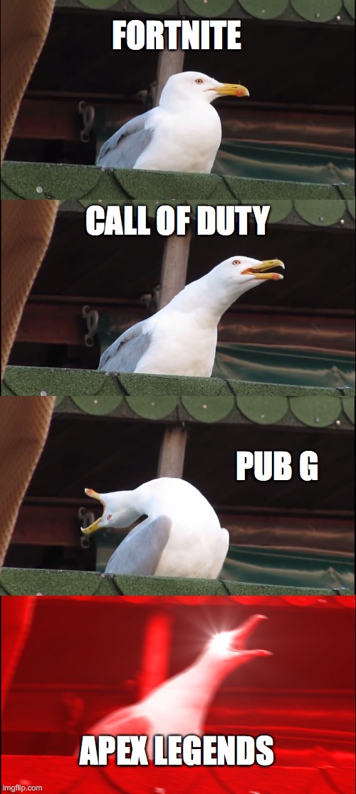 Inhaling Seagull Meme | FORTNITE; CALL OF DUTY; PUB G; APEX LEGENDS | image tagged in memes,inhaling seagull | made w/ Imgflip meme maker