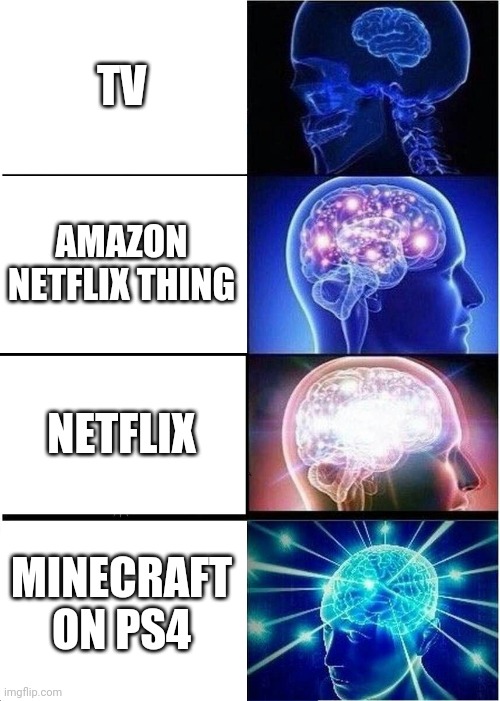 Expanding Brain | TV; AMAZON NETFLIX THING; NETFLIX; MINECRAFT ON PS4 | image tagged in memes,expanding brain | made w/ Imgflip meme maker