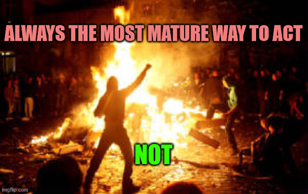 Anarchy Riot | ALWAYS THE MOST MATURE WAY TO ACT; NOT | image tagged in anarchy riot | made w/ Imgflip meme maker