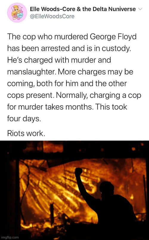 George Floyd's murder | image tagged in riots,murder,cops | made w/ Imgflip meme maker