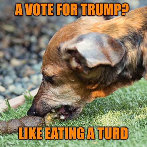 A VOTE FOR TRUMP? LIKE EATING A TURD | made w/ Imgflip meme maker
