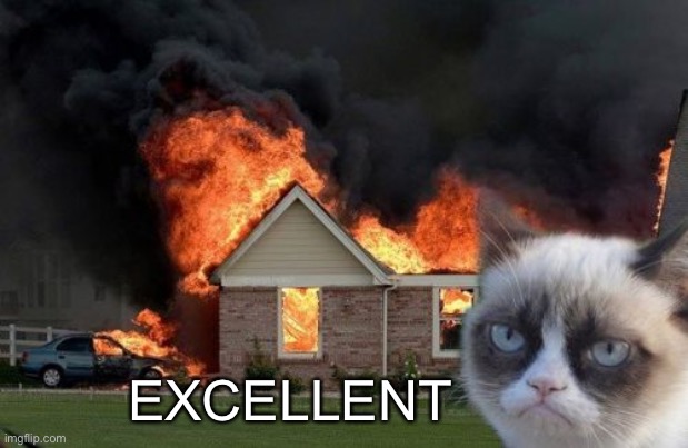 Burn Kitty Meme | EXCELLENT | image tagged in memes,burn kitty,grumpy cat | made w/ Imgflip meme maker
