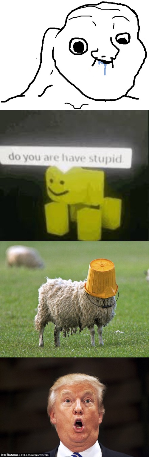 image tagged in stupid sheep,trump stupid face,brainlet stupid,do you are have stupid | made w/ Imgflip meme maker