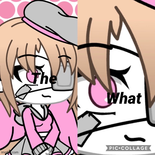 Gacha life the what | image tagged in gacha life the what | made w/ Imgflip meme maker