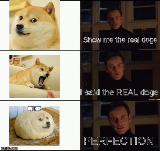 show me the real | Show me the real doge; I said the REAL doge; PERFECTION | image tagged in show me the real | made w/ Imgflip meme maker