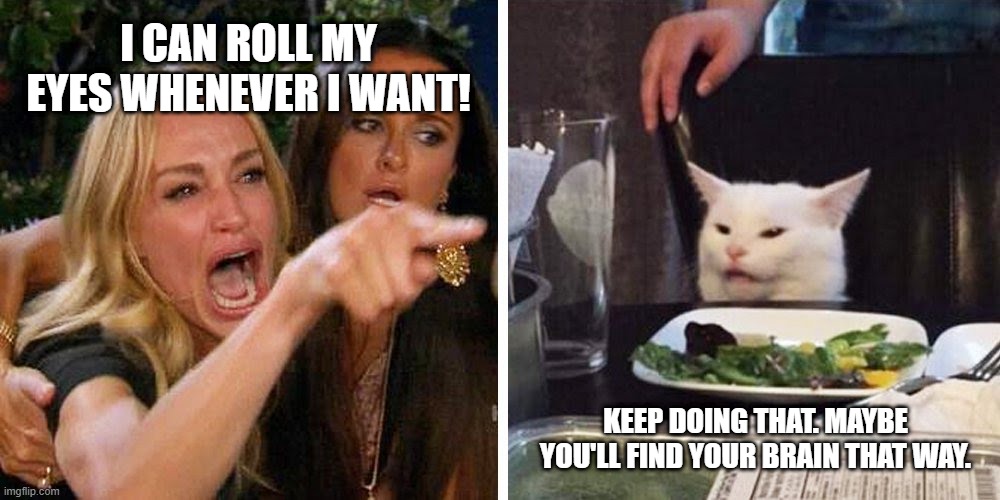 Finding her brain | I CAN ROLL MY EYES WHENEVER I WANT! KEEP DOING THAT. MAYBE YOU'LL FIND YOUR BRAIN THAT WAY. | image tagged in smudge the cat,woman yelling at cat,memes,smudge | made w/ Imgflip meme maker