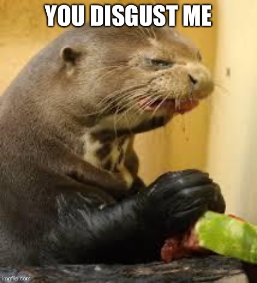 Disgusted Otter | YOU DISGUST ME | image tagged in disgusted otter | made w/ Imgflip meme maker