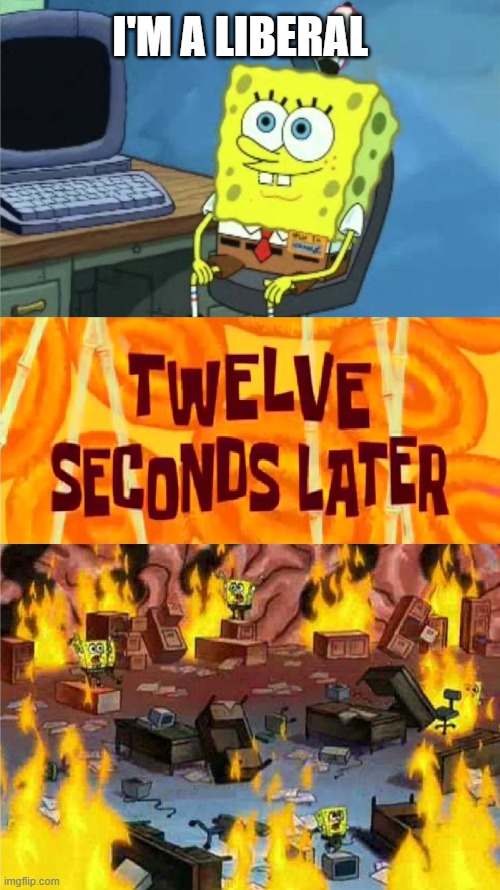 A brief summary of the politics stream | I'M A LIBERAL | image tagged in spongebob office rage,liberals,racist,stupid | made w/ Imgflip meme maker