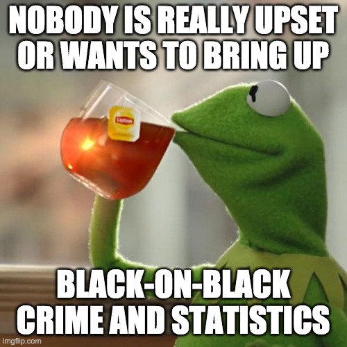 But That's None Of My Business Meme | NOBODY IS REALLY UPSET
OR WANTS TO BRING UP BLACK-ON-BLACK CRIME AND STATISTICS | image tagged in memes,but that's none of my business,kermit the frog | made w/ Imgflip meme maker