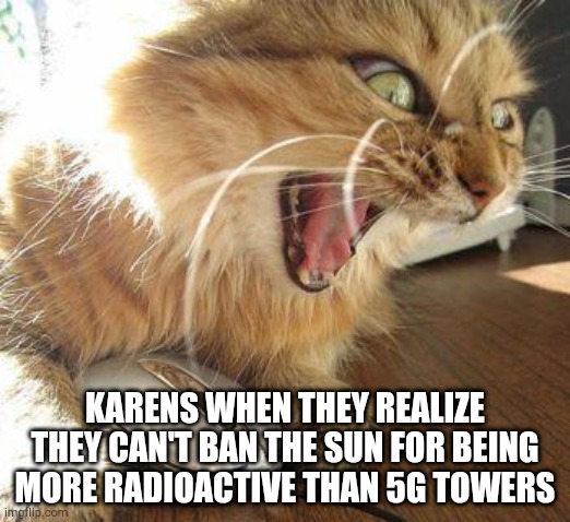 angry cat | KARENS WHEN THEY REALIZE THEY CAN'T BAN THE SUN FOR BEING MORE RADIOACTIVE THAN 5G TOWERS | image tagged in angry cat,karen,5g,funny memes | made w/ Imgflip meme maker