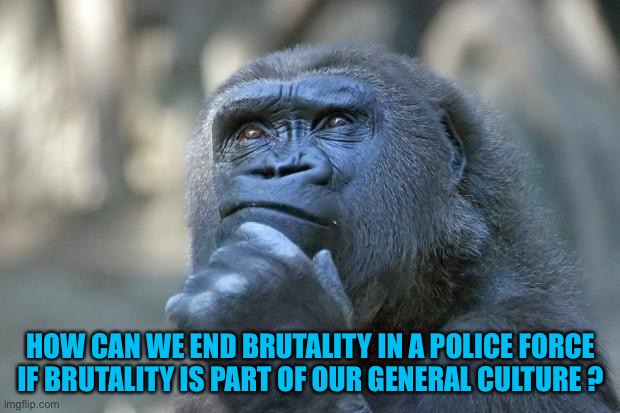 that is the question | HOW CAN WE END BRUTALITY IN A POLICE FORCE IF BRUTALITY IS PART OF OUR GENERAL CULTURE ? | image tagged in that is the question | made w/ Imgflip meme maker