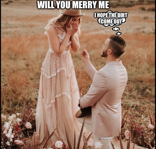 WILL YOU MERRY ME; I HOPE THE DIRT 
COME OUT | image tagged in proposal | made w/ Imgflip meme maker