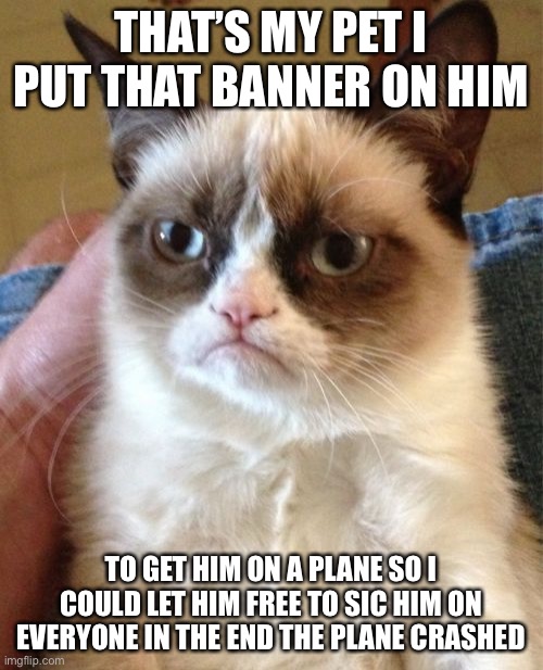 Grumpy Cat Meme | THAT’S MY PET I PUT THAT BANNER ON HIM TO GET HIM ON A PLANE SO I COULD LET HIM FREE TO SIC HIM ON EVERYONE IN THE END THE PLANE CRASHED | image tagged in memes,grumpy cat | made w/ Imgflip meme maker