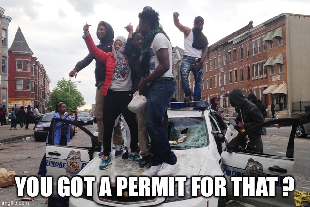 Riot | YOU GOT A PERMIT FOR THAT ? | image tagged in riot | made w/ Imgflip meme maker