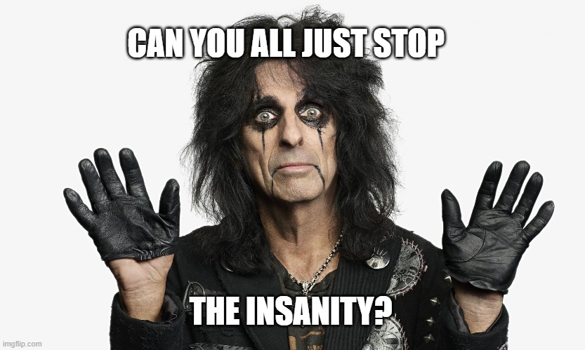 Alice Cooper | CAN YOU ALL JUST STOP; THE INSANITY? | image tagged in alice cooper | made w/ Imgflip meme maker