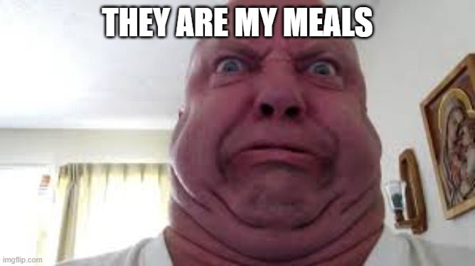 Angry Fat Guy | THEY ARE MY MEALS | image tagged in angry fat guy | made w/ Imgflip meme maker