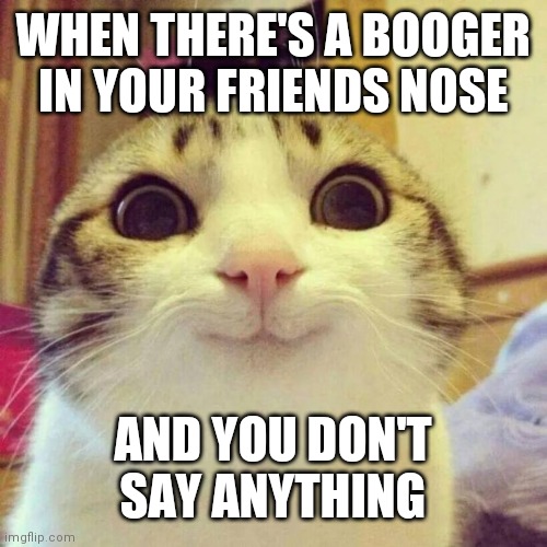 Smiling Cat | WHEN THERE'S A BOOGER IN YOUR FRIENDS NOSE; AND YOU DON'T SAY ANYTHING | image tagged in memes,smiling cat | made w/ Imgflip meme maker