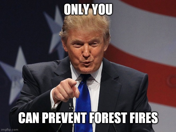 Donald trump | ONLY YOU; CAN PREVENT FOREST FIRES | image tagged in donald trump | made w/ Imgflip meme maker