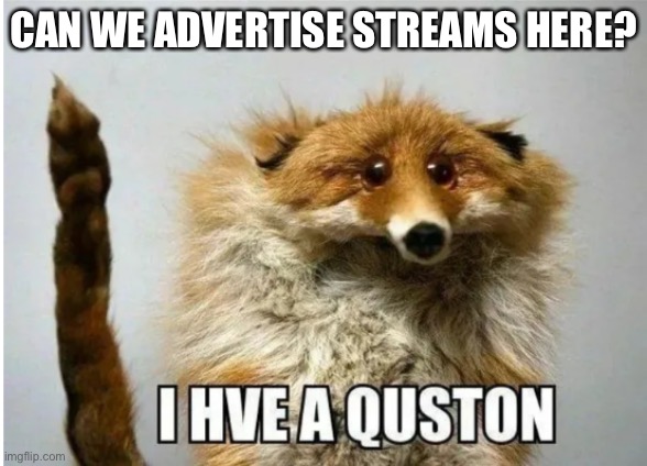 I hve question and its about poop | CAN WE ADVERTISE STREAMS HERE? | image tagged in i hve a quston | made w/ Imgflip meme maker
