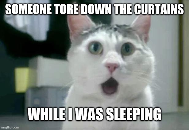 OMG Cat Meme | SOMEONE TORE DOWN THE CURTAINS; WHILE I WAS SLEEPING | image tagged in memes,omg cat | made w/ Imgflip meme maker