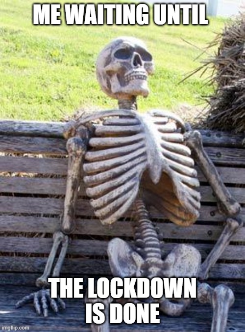 Waiting Skeleton | ME WAITING UNTIL; THE LOCKDOWN IS DONE | image tagged in memes,waiting skeleton | made w/ Imgflip meme maker