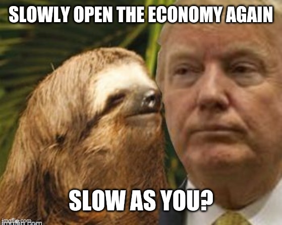 Political advice sloth | SLOWLY OPEN THE ECONOMY AGAIN; SLOW AS YOU? | image tagged in political advice sloth | made w/ Imgflip meme maker