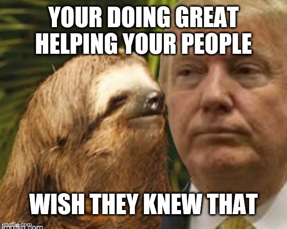 Political advice sloth | YOUR DOING GREAT HELPING YOUR PEOPLE; WISH THEY KNEW THAT | image tagged in political advice sloth | made w/ Imgflip meme maker