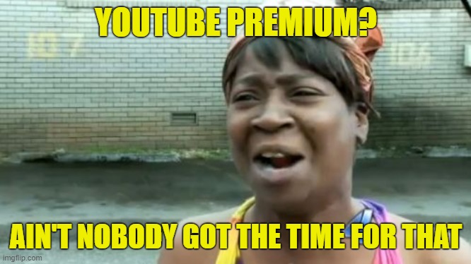 Youtube Premium | YOUTUBE PREMIUM? AIN'T NOBODY GOT THE TIME FOR THAT | image tagged in memes,ain't nobody got time for that | made w/ Imgflip meme maker