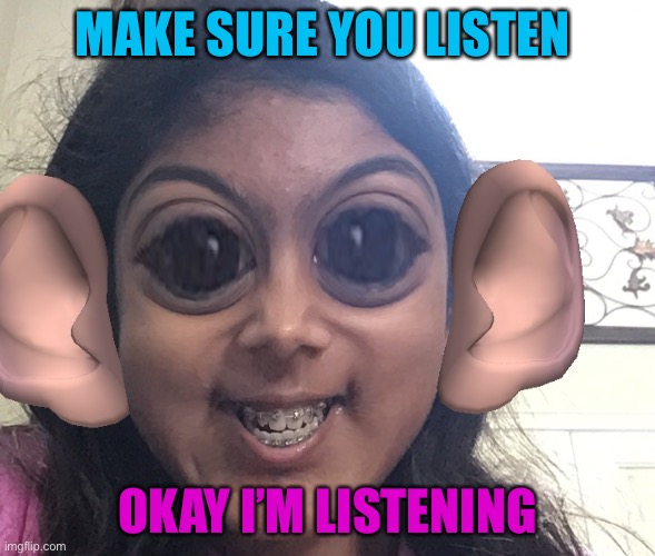 MAKE SURE YOU LISTEN; OKAY I’M LISTENING | image tagged in big ears | made w/ Imgflip meme maker