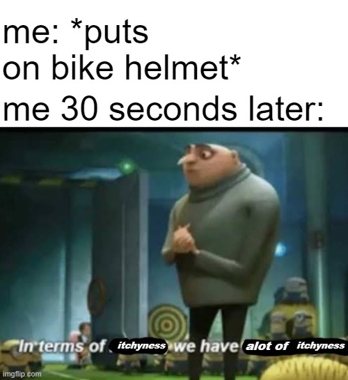 In terms of money | me: *puts on bike helmet*; me 30 seconds later:; itchyness; itchyness; alot of | image tagged in in terms of money,bike,helmet | made w/ Imgflip meme maker