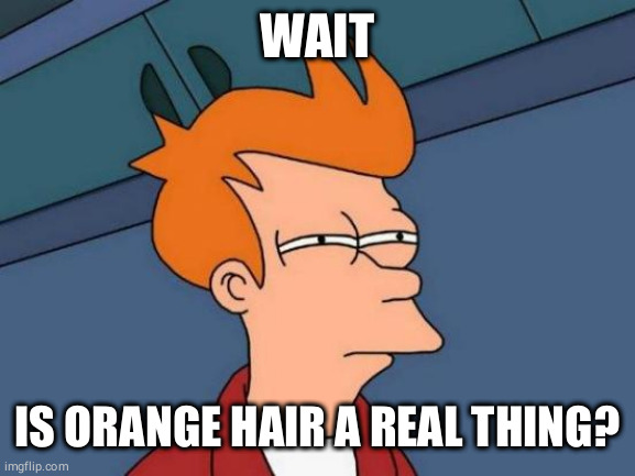 Futurama Fry Meme | WAIT; IS ORANGE HAIR A REAL THING? | image tagged in memes,futurama fry | made w/ Imgflip meme maker