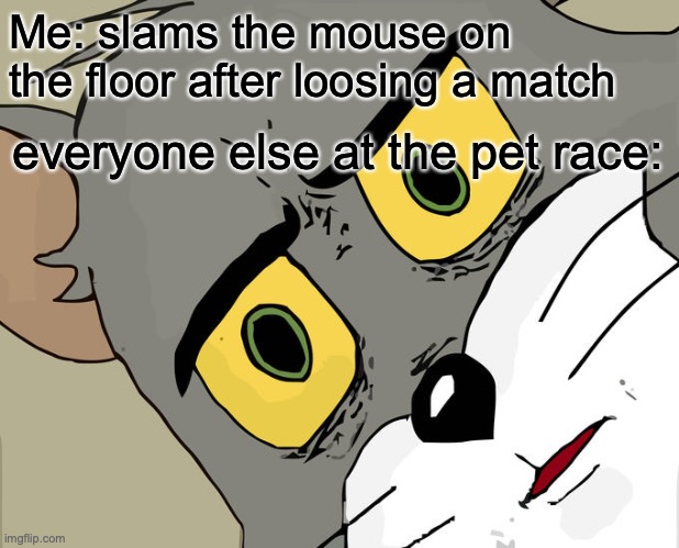 Unsettled Tom | Me: slams the mouse on the floor after loosing a match; everyone else at the pet race: | image tagged in memes,unsettled tom | made w/ Imgflip meme maker