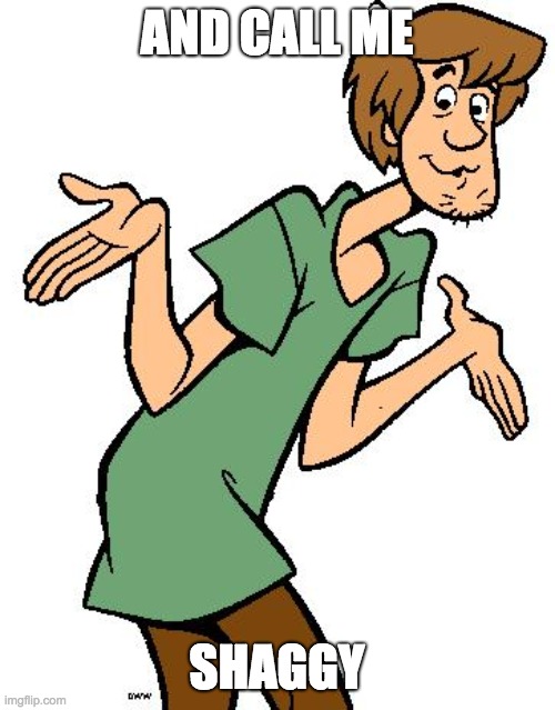 Shaggy from Scooby Doo | AND CALL ME SHAGGY | image tagged in shaggy from scooby doo | made w/ Imgflip meme maker